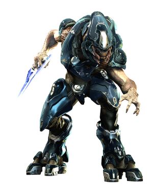 H4 Sangheili Storm 01.jpg