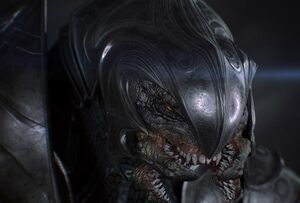 HB 19-06-2014 H2A Arbiter.jpg