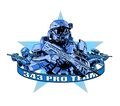 Concept du logo 343 Pro Team.
