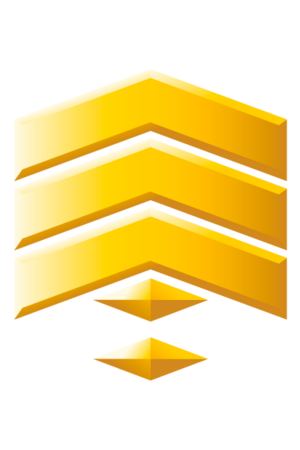 H3 Sergeant G3.png
