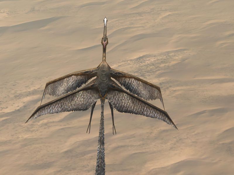 Fichier:H3-Epitaph Quadwings 03.jpg