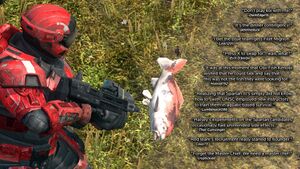 HB2012 n10 - FCF.jpg