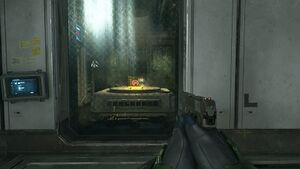 HINF Illusion Overshield.jpg