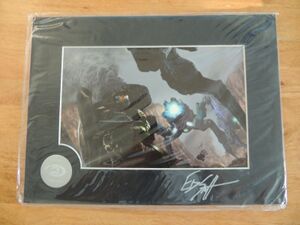 Mylar Scarab (Eddie Smith).jpg