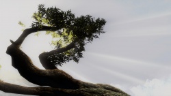 Indigenous Soul by LIL BLACK BUBBA