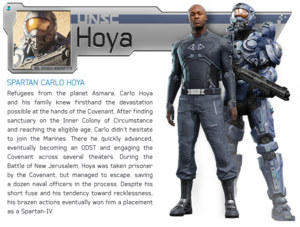 H4 Meet Majestic Hoya.png