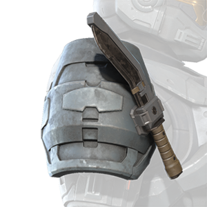 HINF SAP K right shoulder.png