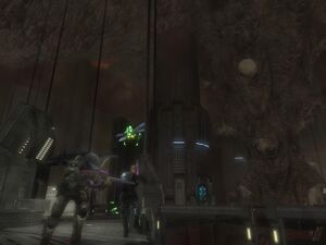 HODST-Rookie, Dare & Drone hive.jpg