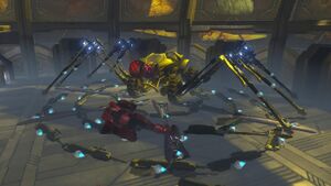 BWU Spiders lair.jpg