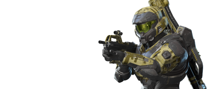 Fichier:HINF-Blackstone Lichen bundle (render).png