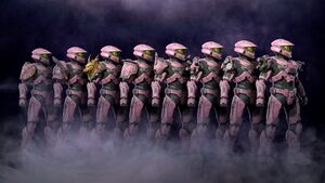 HINF-CU29 Cross-core Shoulders.jpg