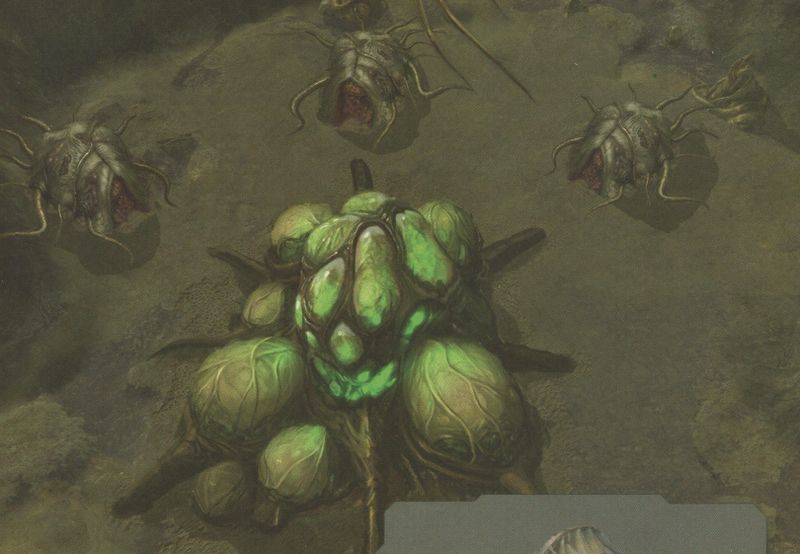 Fichier:POHW Flood Base concept.jpg