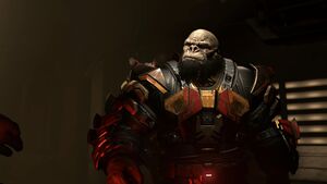 HINF-Tremonius 04.jpg