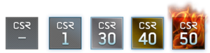 Csr.png
