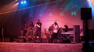 BWU HR LA event (lights).jpg