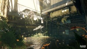 H5G-Overgrowth (Fixer Upper).jpg