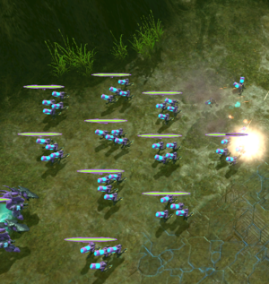 HW - Kamikaze 01.png