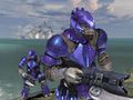 Deux Brutes Ultras dans Halo 3.