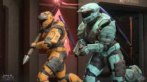 HINF-WU Covert One Flag 01.jpg