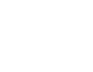 HINF WU Holiday 2022 backdrop.png