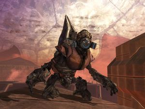 H3-Grognard moqueur (easter egg).jpg