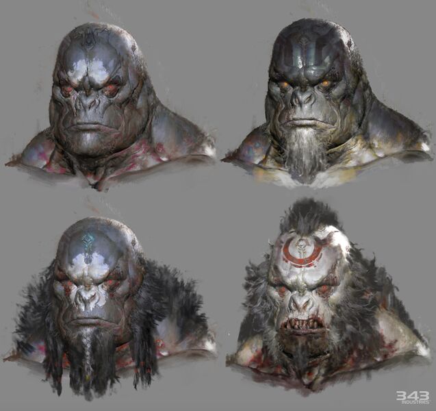 Fichier:HINF-Brute concept 05 (Ruan Jia).jpg