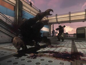 HODST-QG de la police 10.jpg