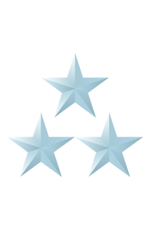 HW-Grade Colonel.png