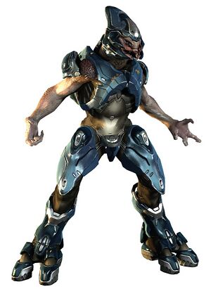 H4 Sangheili Storm 03.jpg