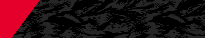 Fichier:HINF FaZe Clan nameplate.png