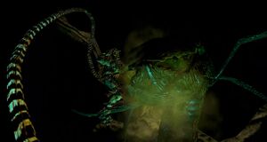 H2-Fossoyeur & John-117.jpg