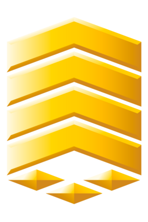 H3 GunnerySergeant G4.png