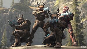 HINF-WU Winter Contingency II 02.jpg