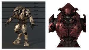 HL The Package Elites Concept.png