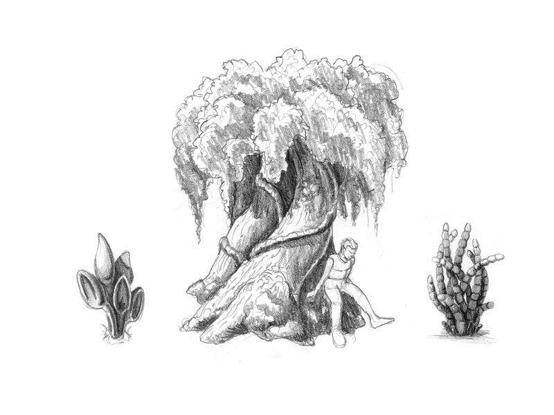 Fichier:Digsite H1 CNPT plant-group1.jpg