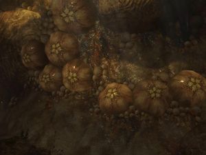 H3-Œufs parasites 01.jpg