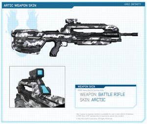 H4-BR Arctic skin.jpg