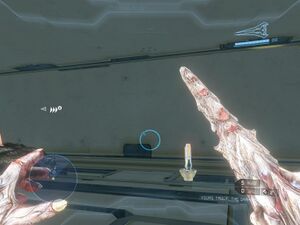 H4-Flood (first person).jpg