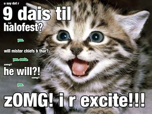 HB 17-08-2011 Halo Fest cat.jpg