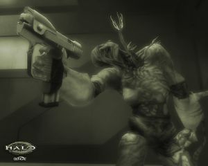 Halo CE wallpaper Flood.jpg