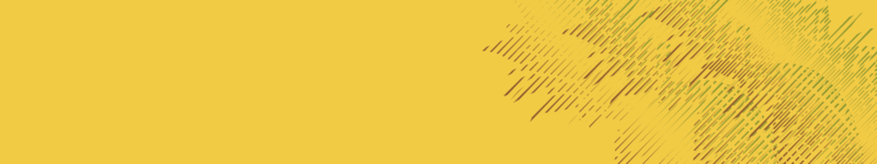 Fichier:HINF S2 Pineapple Surprise nameplate.png