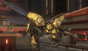 HODST-Drone zealot.jpg