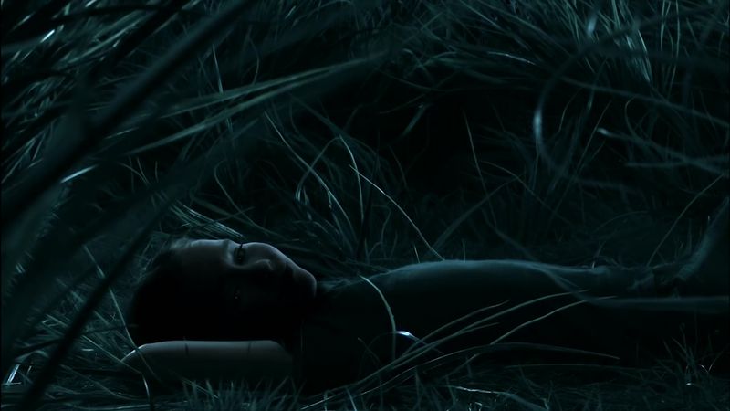 Fichier:Starry Night - Katrina.jpg