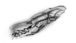 HL The Package Battlecruiser Concept.png