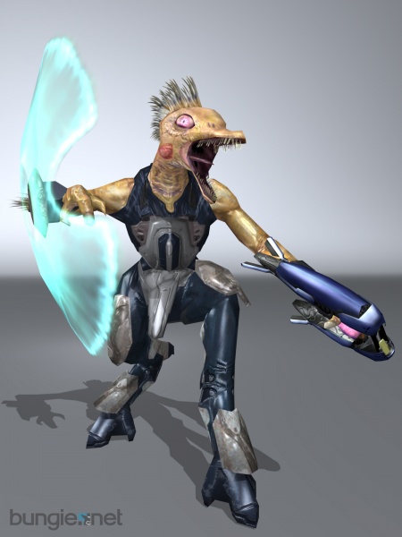 Fichier:H2 Rapace.jpg