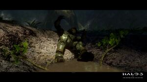 H3-MCC PC-Arrival 01.jpg