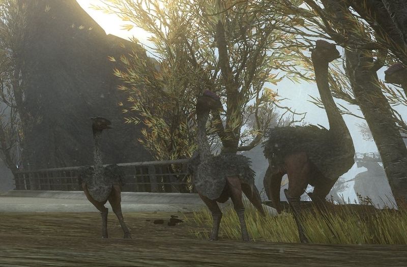 Fichier:HR-Moa 01.jpg