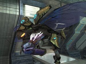 H3-Drone (L'Alliance Covenante).jpeg