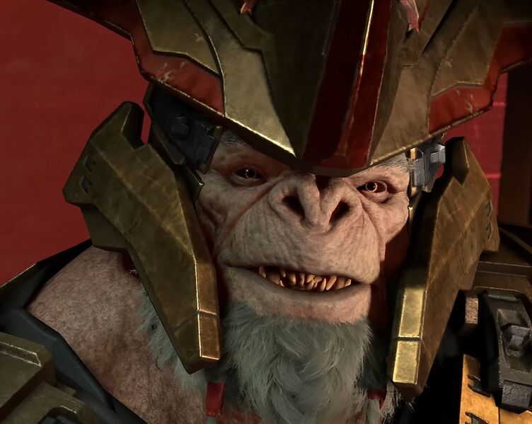 Fichier:HINF-Bassus 01.jpg