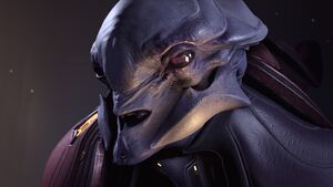 HINF-Harbinger 03.jpg